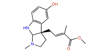 Pseudophrynamine 302
